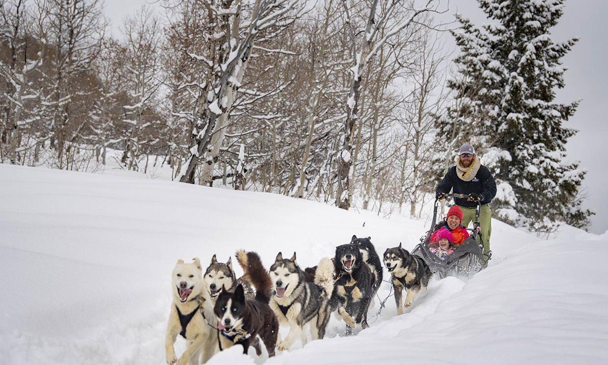 Experience the Winter Charm and Embrace Canada’s Bold Coldness (2)